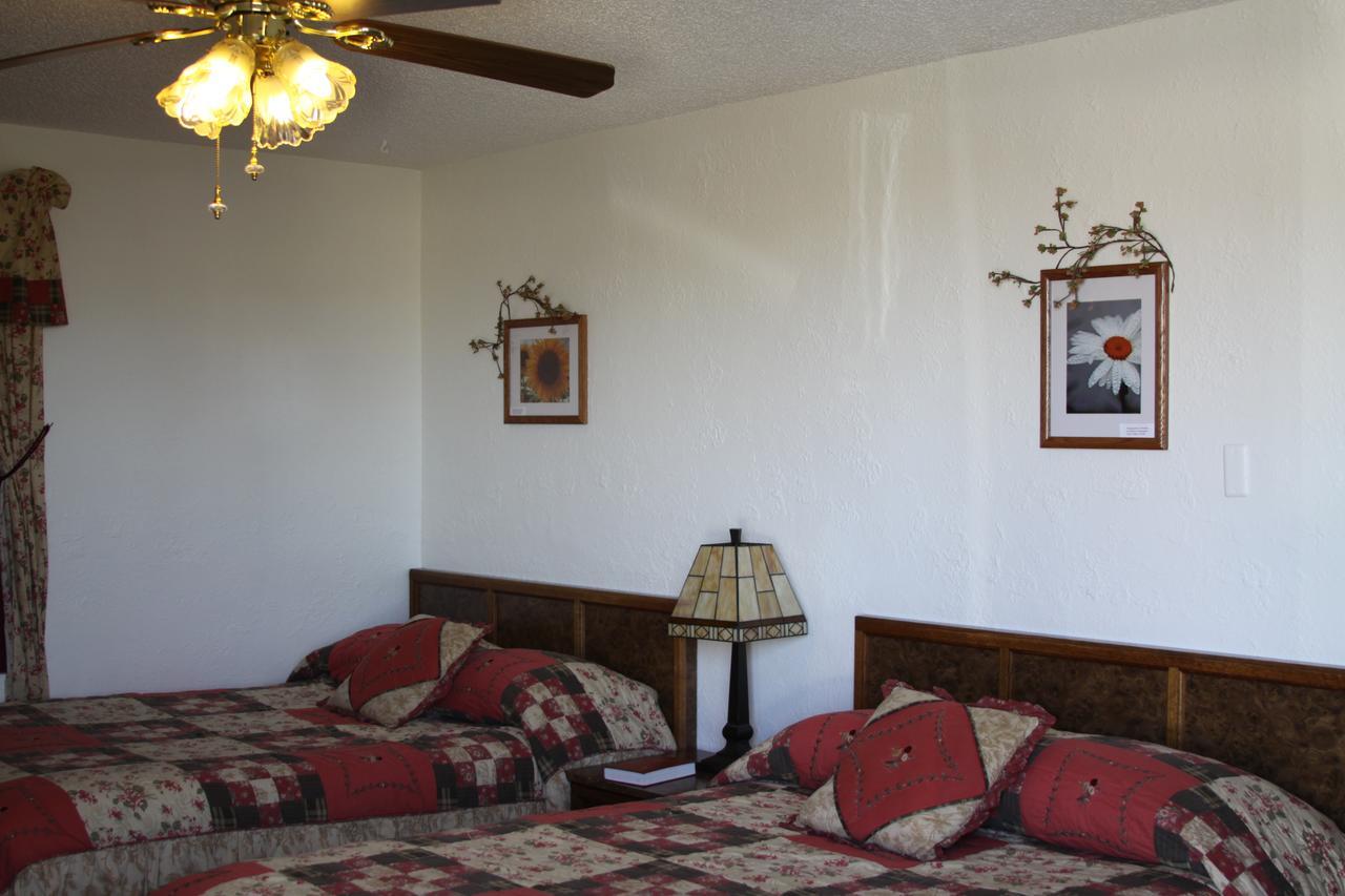 Sleep For Less Motel Sidney Bagian luar foto